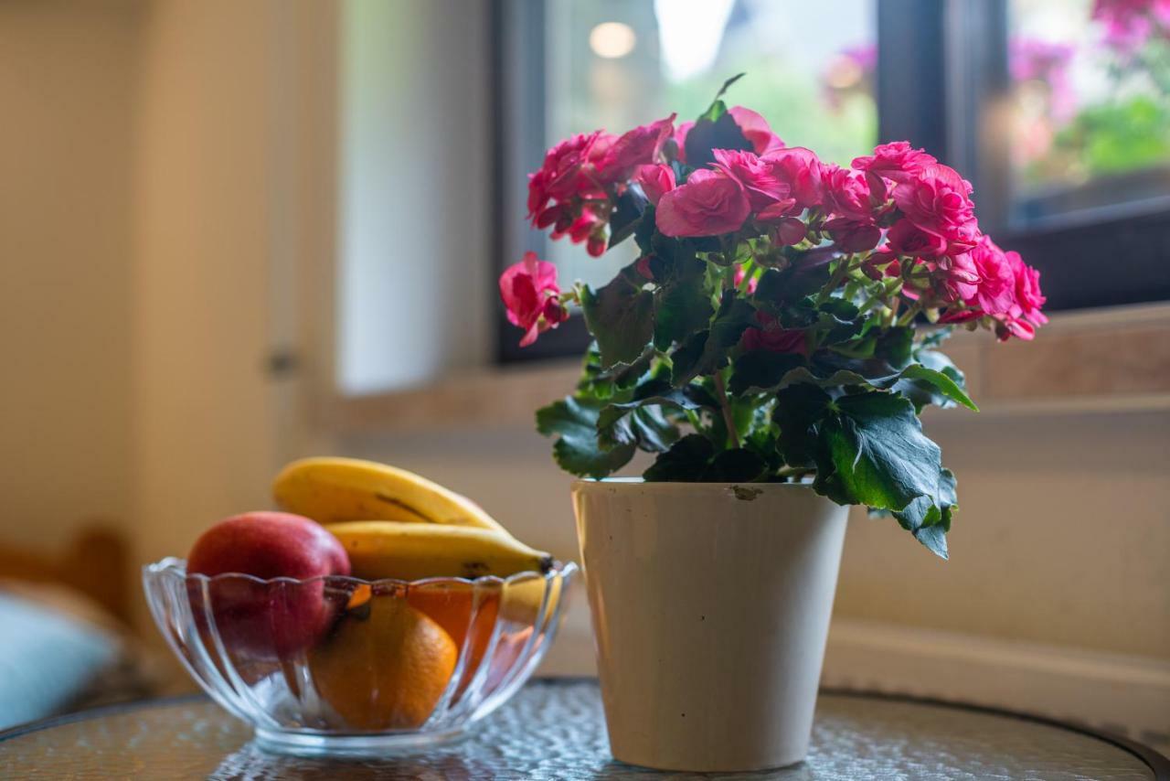 Apartament Ewa Zakopane Kültér fotó